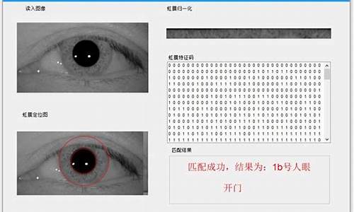 虹膜 c 源码_虹膜识别代码